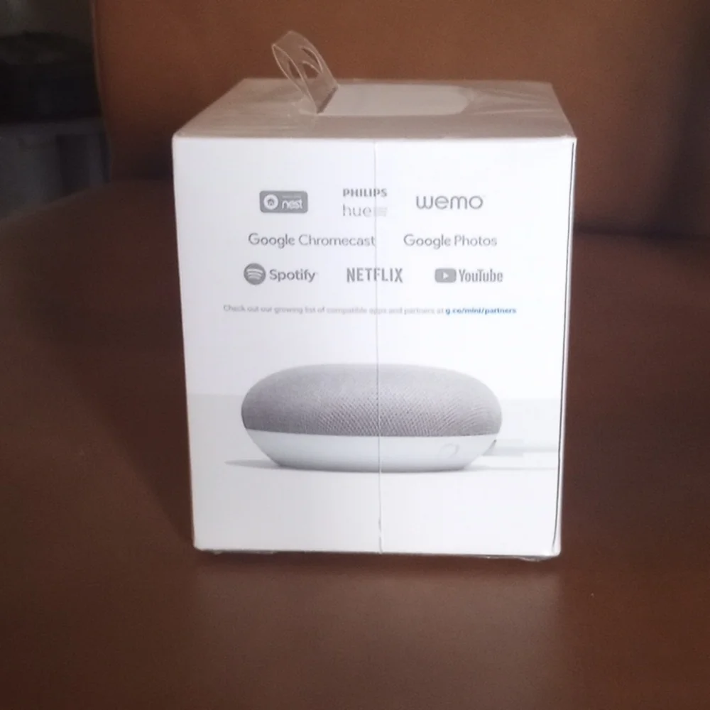 Google home mini
